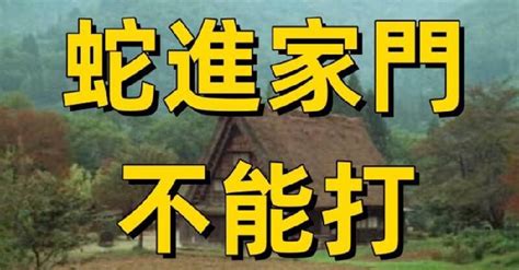 做生意不能說蛇|蛇台語溜 為什麼晚上不能說蛇~要說(台語)溜 